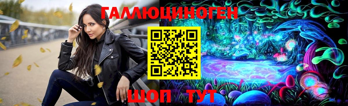 Галлюциногенные грибы Psilocybine cubensis Татарск